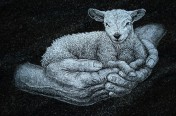 Hand Etchings – Lamb
